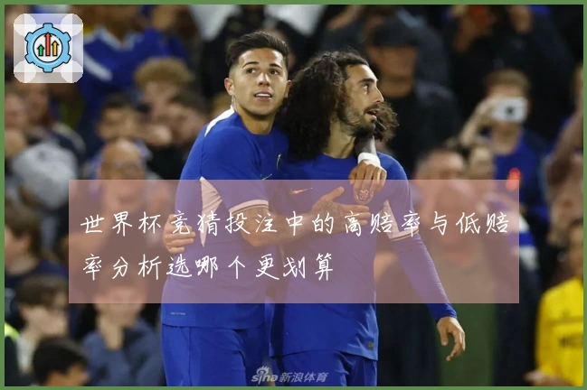 世界杯竞猜投注中的高赔率与低赔率分析选哪个更划算