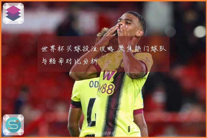 世界杯买球投注攻略 聚焦热门球队与赔率对比分析