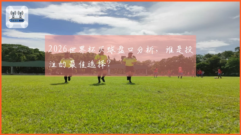 2026世界杯买球盘口分析，谁是投注的最佳选择？