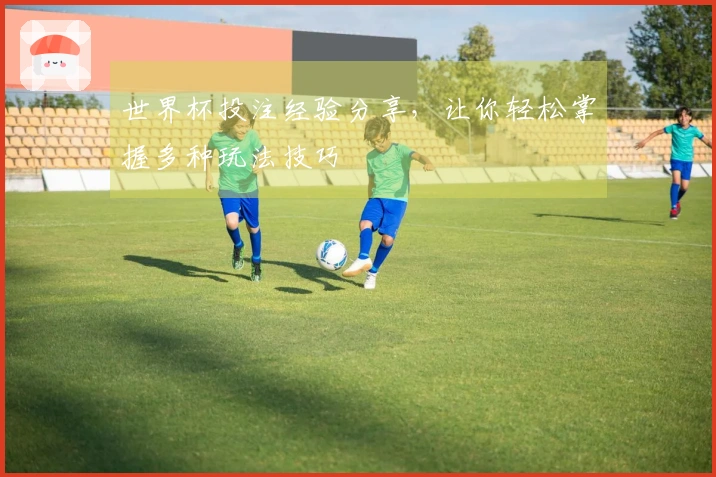 世界杯投注经验分享，让你轻松掌握多种玩法技巧