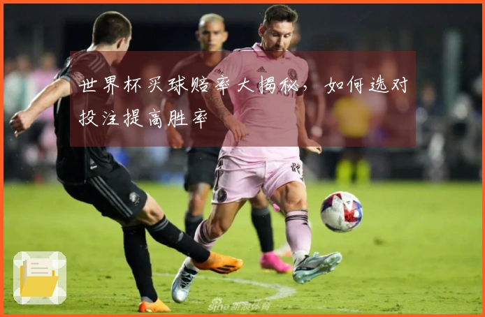 世界杯买球赔率大揭秘，如何选对投注提高胜率