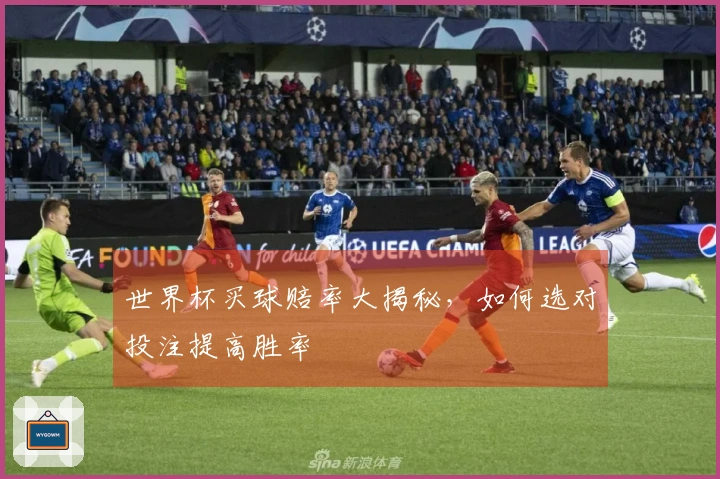 世界杯买球赔率大揭秘，如何选对投注提高胜率