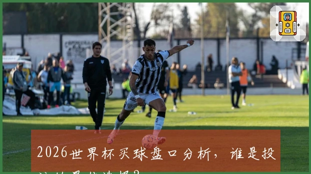 2026世界杯买球盘口分析，谁是投注的最佳选择？
