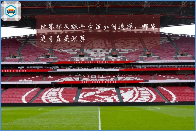 世界杯买球平台该如何选择，哪家更可靠更划算
