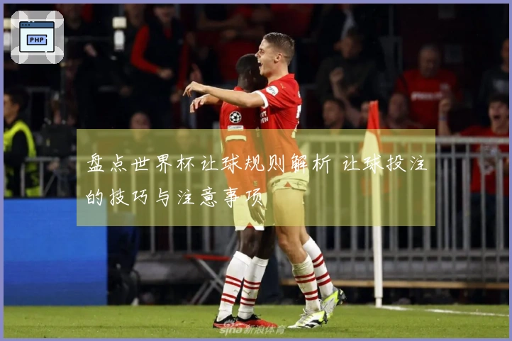 盘点世界杯让球规则解析 让球投注的技巧与注意事项