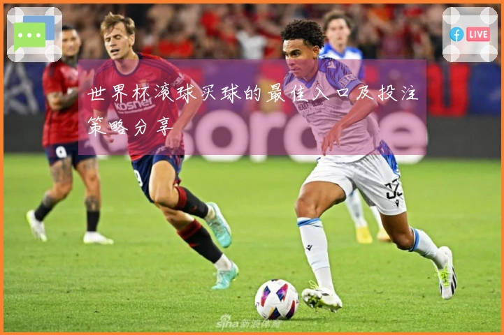 世界杯滚球买球的最佳入口及投注策略分享