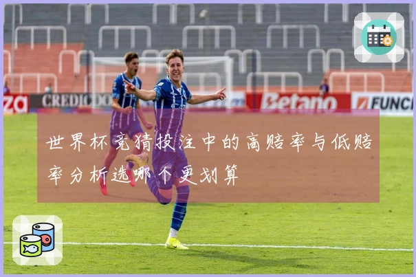 世界杯竞猜投注中的高赔率与低赔率分析选哪个更划算