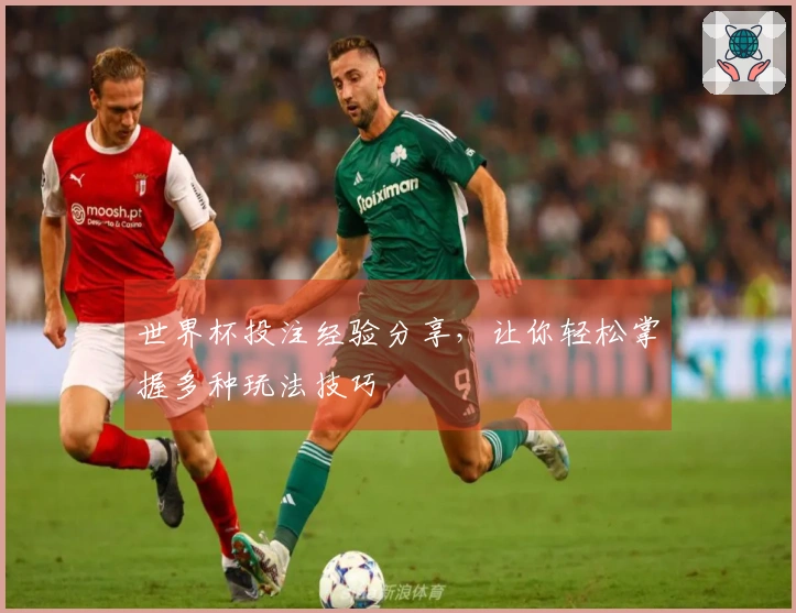 世界杯投注经验分享，让你轻松掌握多种玩法技巧